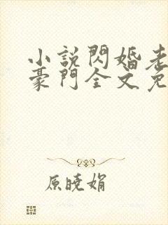 小说闪婚老公是豪门全文免费阅读封面