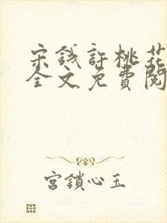 宋钱许桃花小说全文免费阅读封面