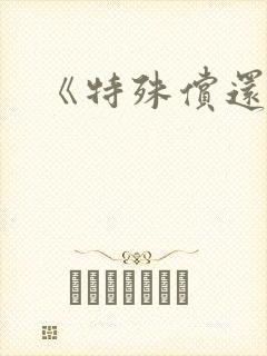 《特殊偿还》封面