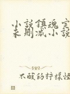 小说镇魂完整版未删减小说封面