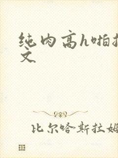 纯肉高h啪总裁文