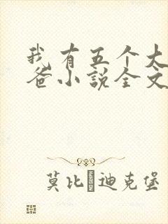 我有五个大佬爸爸小说全文免费阅读封面