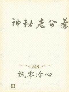 神秘老公惹不起封面