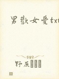 男欢女爱txt封面