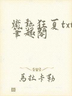 炽热狂夏txt笔趣阁