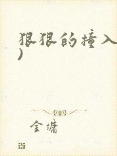 狠狠的撞入(h)