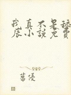 我真不是舔狗叶辰小说免费阅读