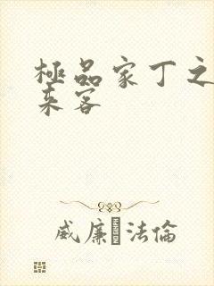 极品家丁之远方来客