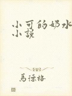 小可的奶水志强小说