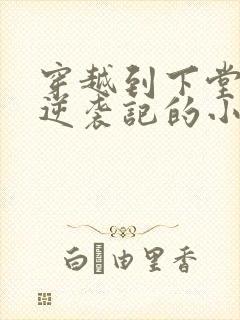 穿越到下堂王妃逆袭记的小说