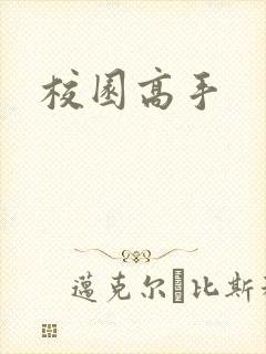 校园高手