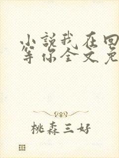 小说我在回忆里等你全文免费阅读