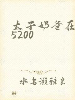 太子奶爸在花都5200