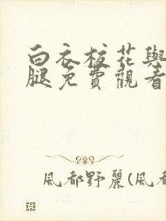 白衣校花与大长腿免费观看电视剧封面