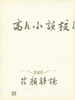 高h小说校园封面