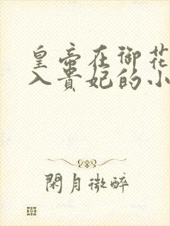 皇帝在御花园进入贵妃的小说