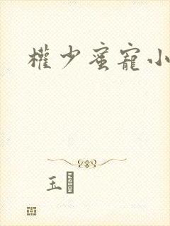 权少蜜宠小娇妻