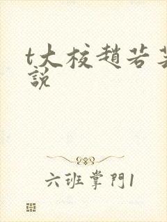 t大校赵若芸小说封面