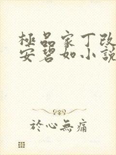 极品家丁改编版安碧如小说免费阅读
