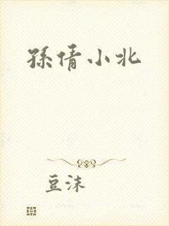 孙倩小北封面