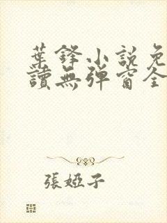 叶锋小说免费阅读无弹窗全文