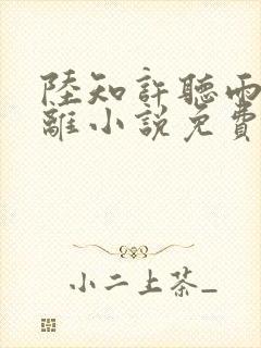 陆知许听雨说别离小说免费阅读全文封面
