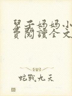 儿子妈妈小说免费阅读全文封面