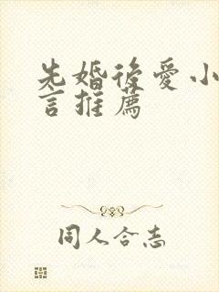 先婚后爱小说古言推荐封面