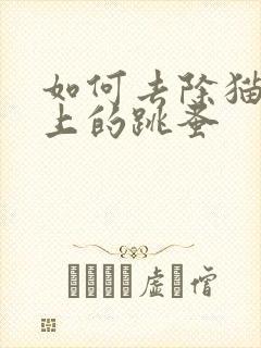 如何去除猫狗身上的跳蚤