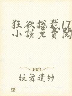 狂欲总裁17限小说免费阅读