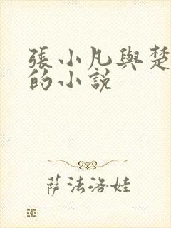 张小凡与楚清璇的小说