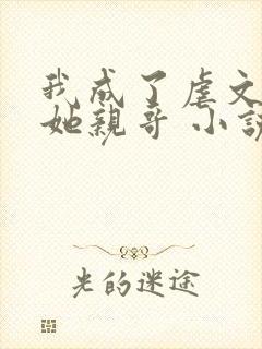 我成了虐文女主她亲哥 小说
