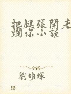 把腿张开老子臊烂你小说