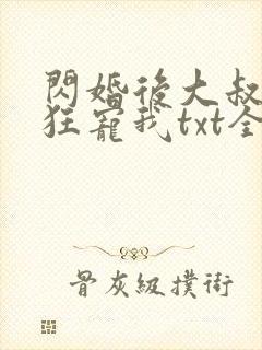 闪婚后大叔每天狂宠我txt全本下载封面