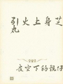引火上身芝麻糖丸