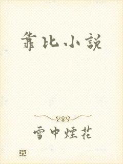 靠比小说