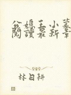 公媳王小蒙全文阅读最新章节更新封面