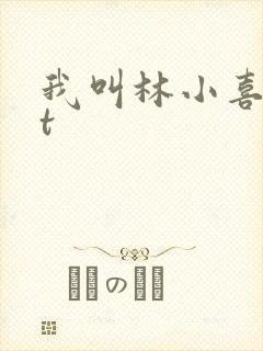 我叫林小喜txt封面