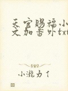 天官赐福小说全文加番外txt