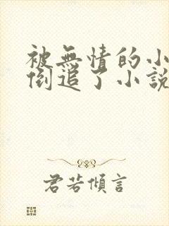 被无情的小师弟倒追了小说