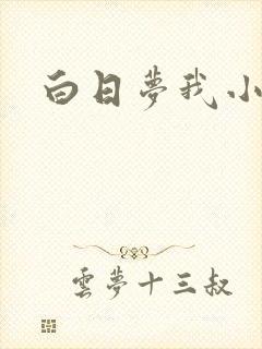 白日梦我小说