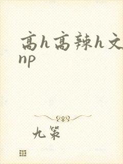 高h高辣h文乱np