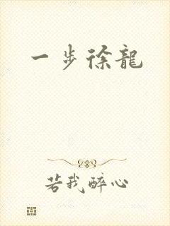 一步徐龙封面