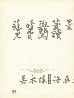 苏晴与萧晨兵王免费阅读封面