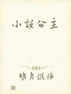 小说公主封面