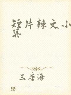 短片辣文小说合集封面