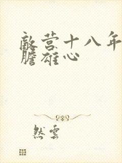 敌营十八年2虎胆雄心封面