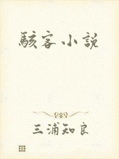 骇客小说封面