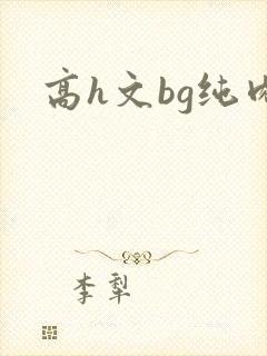 高h文bg纯肉