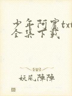 少年阿宾txt全集下载